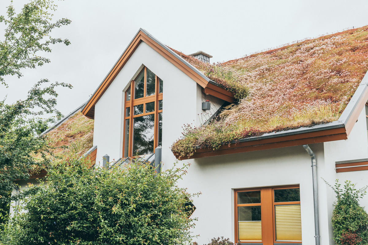 Gründach Anwendungsbeispiel Dach